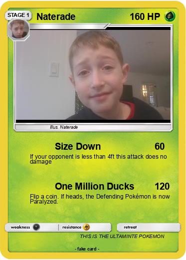 Pokemon Naterade