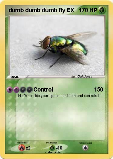 Pokemon dumb dumb dumb fly EX