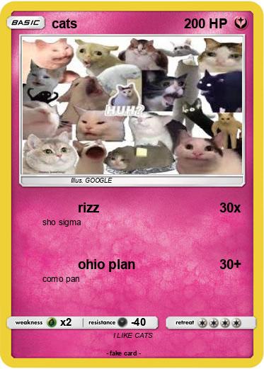 Pokemon cats