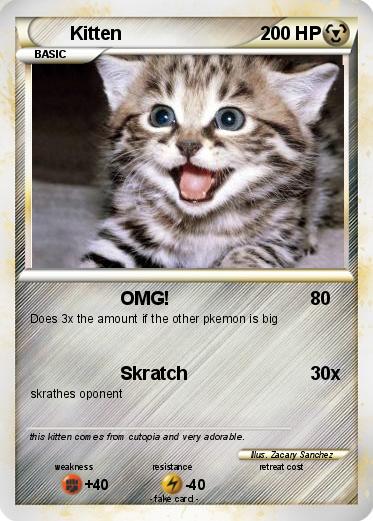 Pokemon Kitten