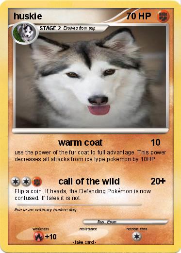 Pokemon huskie