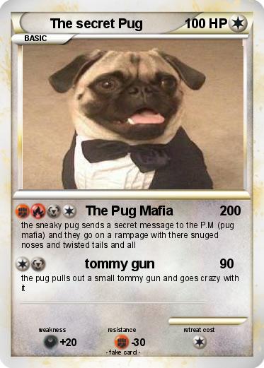 Pokemon The secret Pug