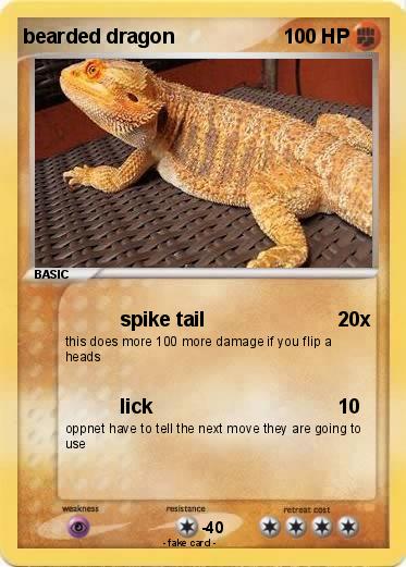 Pokemon bearded dragon