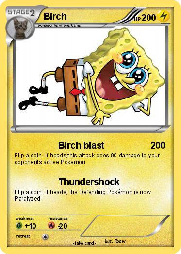 Pokemon Birch