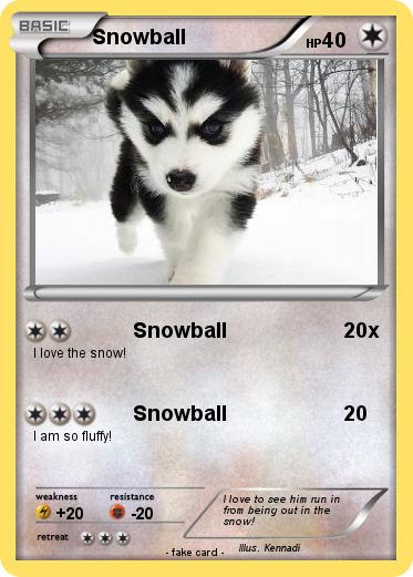 Pokemon Snowball