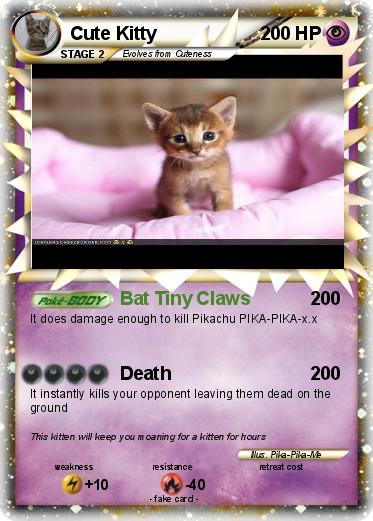 Pokemon Cute Kitty