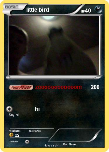 Pokemon little bird