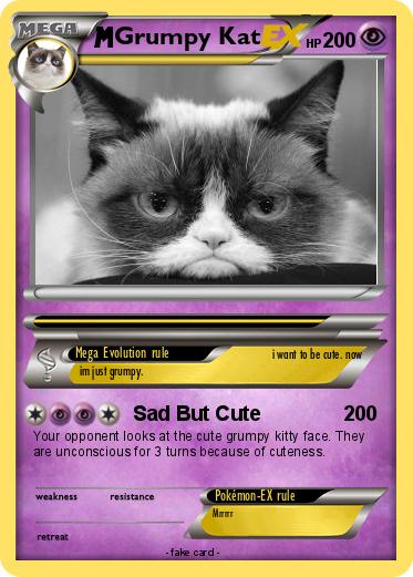 Pokemon Grumpy Kat
