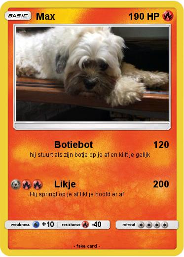 Pokemon Max