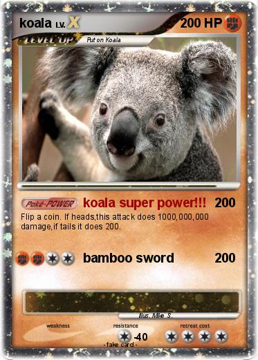 Pokemon koala