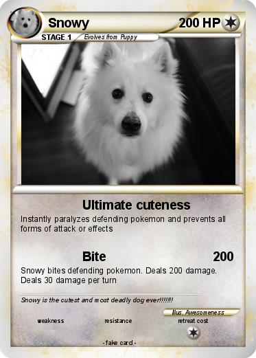 Pokemon Snowy