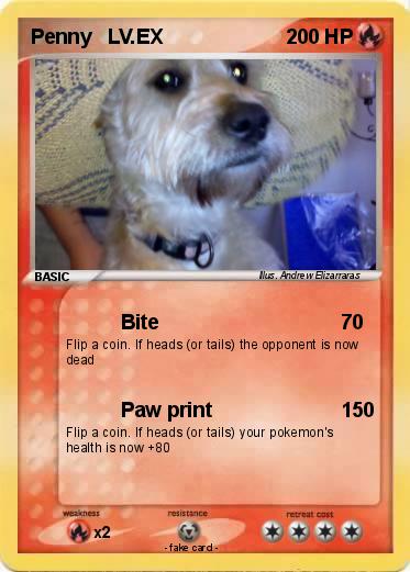 Pokemon Penny   LV.EX