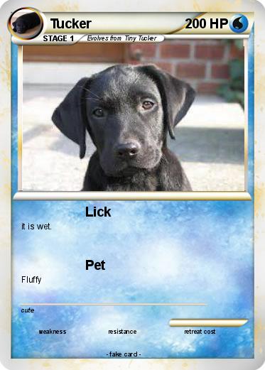 Pokemon Tucker