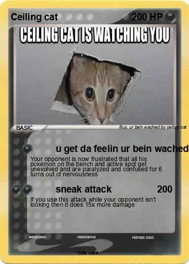Pokemon Ceiling cat