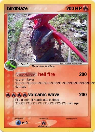 Pokemon birdblaze