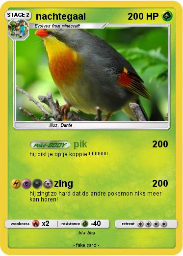Pokemon nachtegaal