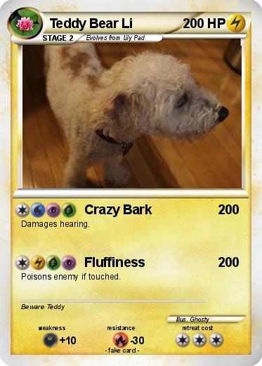 Pokemon Teddy Bear Li