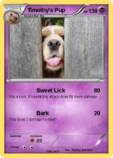 Pokemon Timothy's Pup