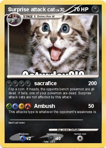 Pokemon Surprise attack cat