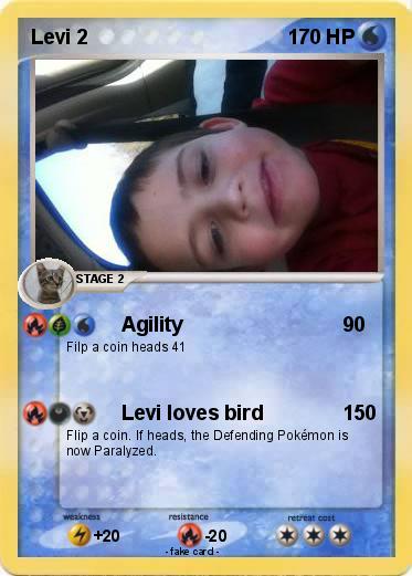 Pokemon Levi 2