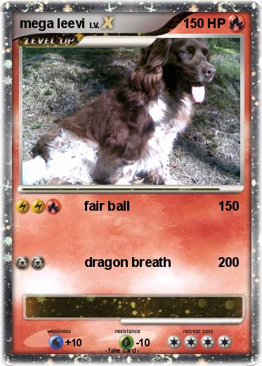 Pokemon mega leevi