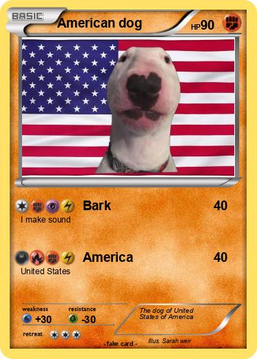 Pokemon American dog