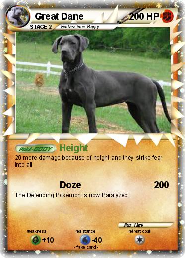 Pokemon Great Dane
