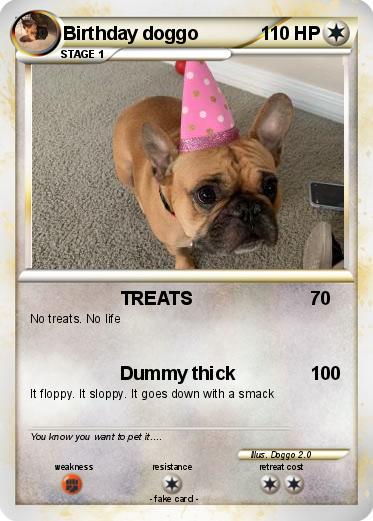 Pokemon Birthday doggo