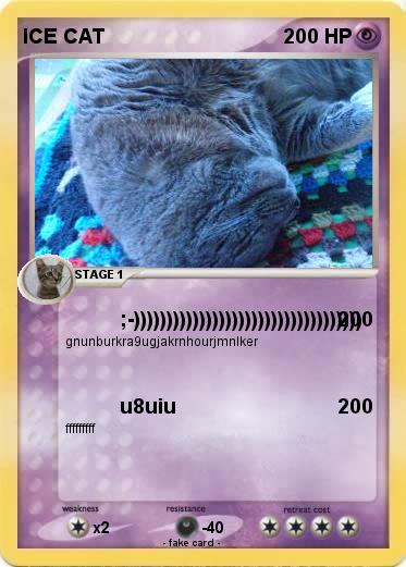 Pokemon ICE CAT