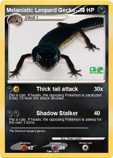 Pokemon Melanistic Leopard Gecko