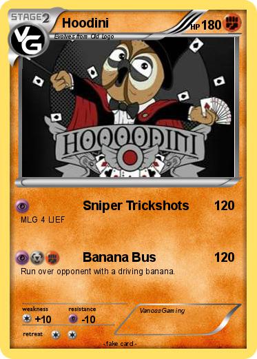 Pokemon Hoodini