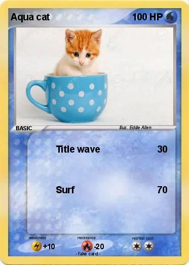 Pokemon Aqua cat
