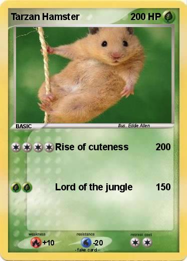Pokemon Tarzan Hamster