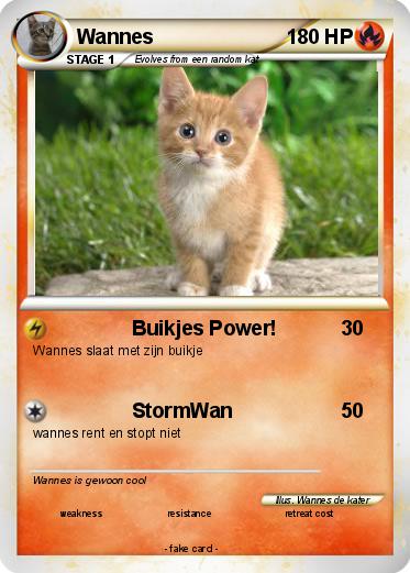 Pokemon Wannes