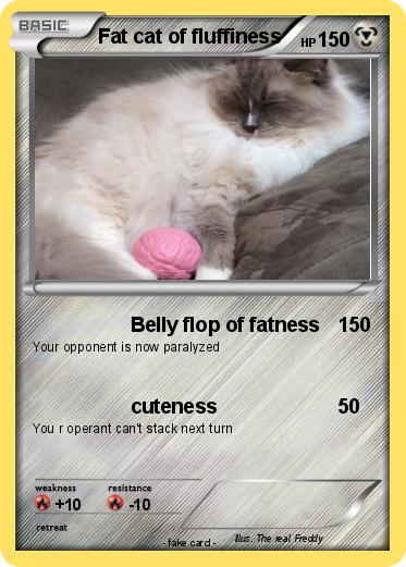 Pokemon Fat cat of fluffiness