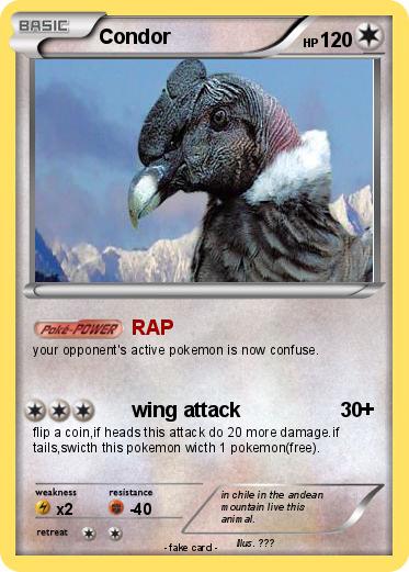 Pokemon Condor