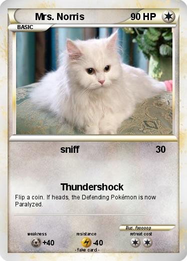 Pokemon Mrs. Norris