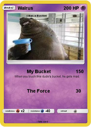 Pokemon Walrus