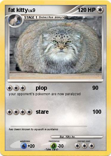 Pokemon fat kitty
