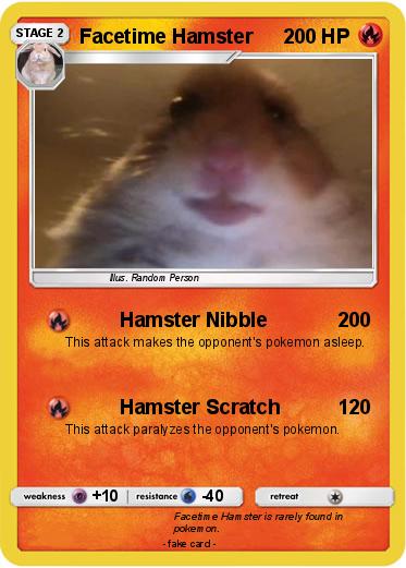Pokemon Facetime Hamster