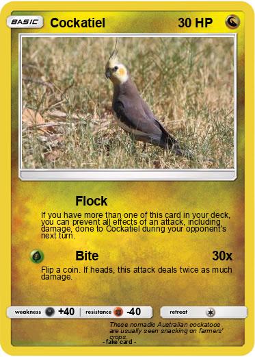 Pokemon Cockatiel