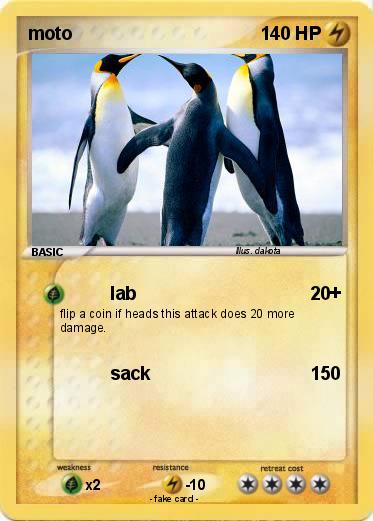 Pokemon moto