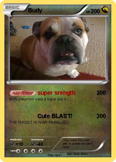 Pokemon Budy