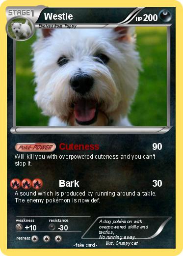Pokemon Westie