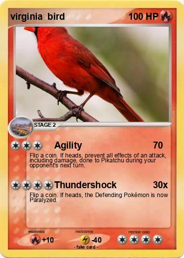Pokemon virginia  bird