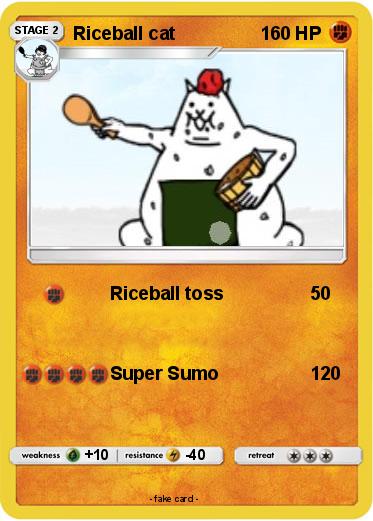 Pokemon Riceball cat