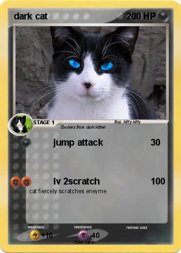 Pokemon dark cat
