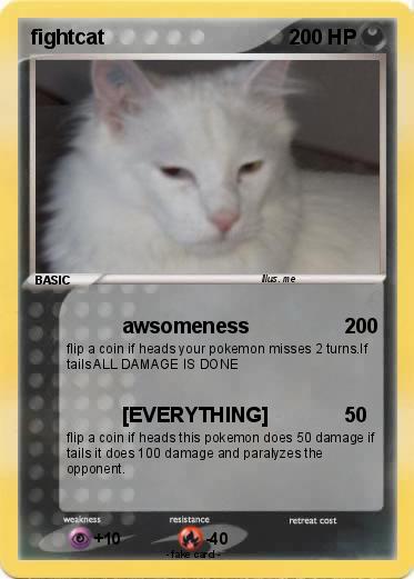 Pokemon fightcat