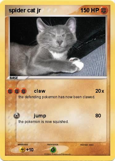 Pokemon spider cat jr