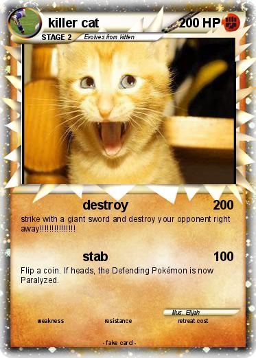 Pokemon killer cat